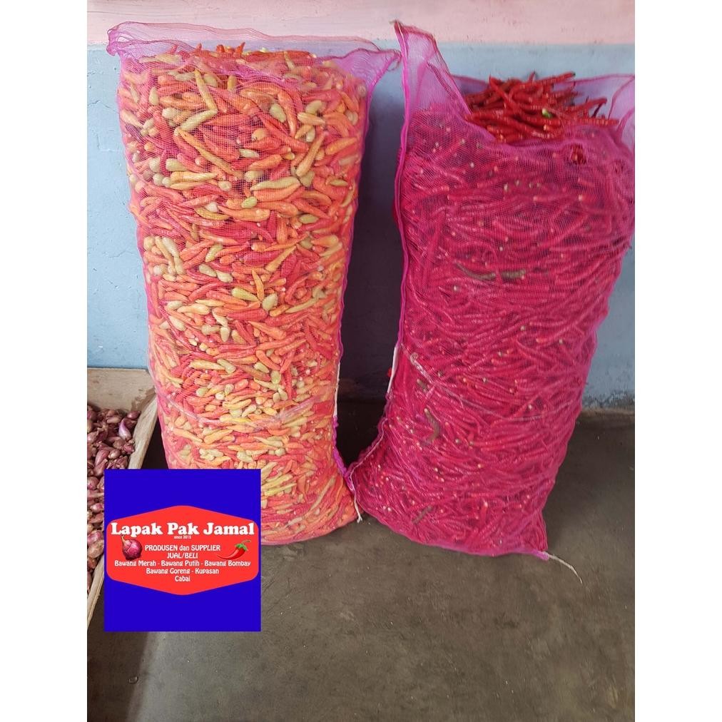 

Mampu Bersaing Cabai Merah Keriting - 1 Kg - Lpj