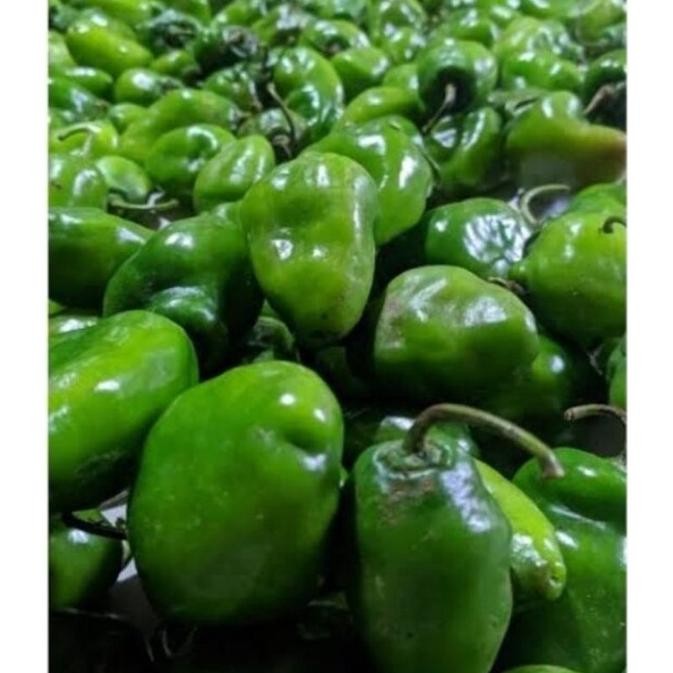 

Kualitas Tertinggi Cabe Gendot Bandung Cabai Bendot Fresh 500Gr