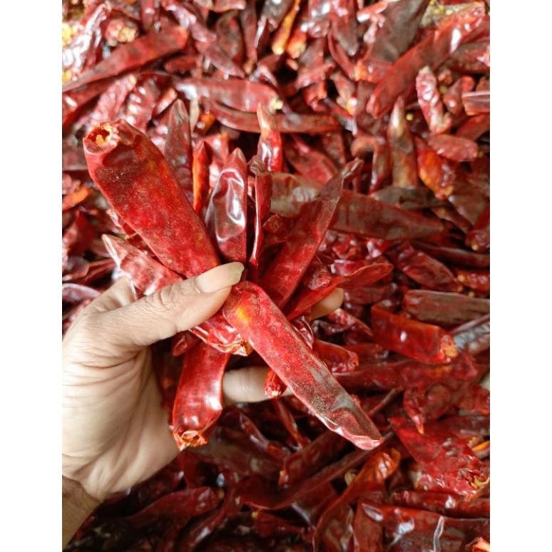 

Promo Bulan Ini 1Kg Cabe Merah Besar Infor Tanpa Tangkai