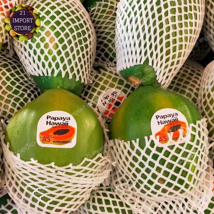 

TERMURAH PEPAYA HAWAI MADU 1KG - BUAH PEPAYA SUPER MANIS SEGAR NON SERAT