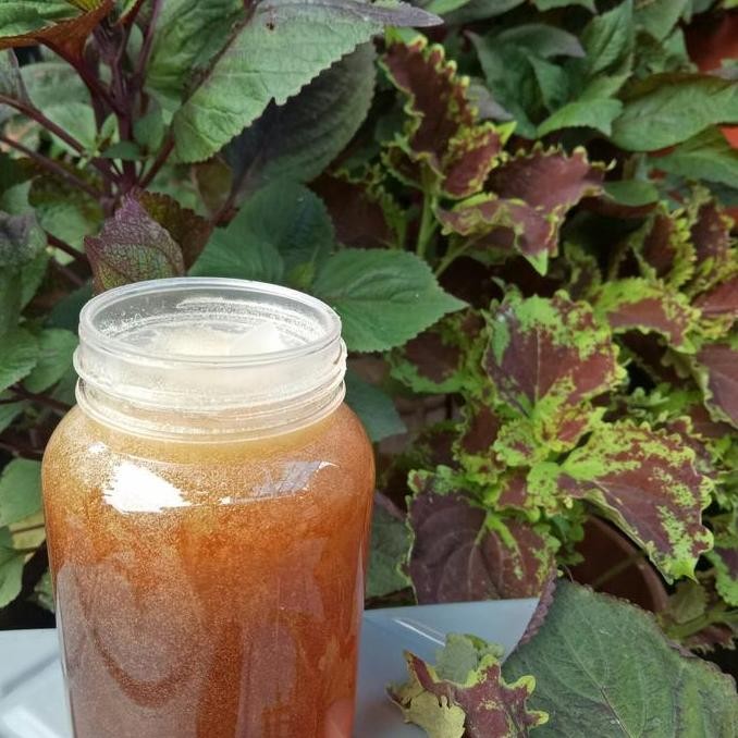 

TERMURAH MADU HUTAN SUMBAWA PREMIUM 500GR - MADU HUTAN MURNI RASA KUAT DAN PAHIT