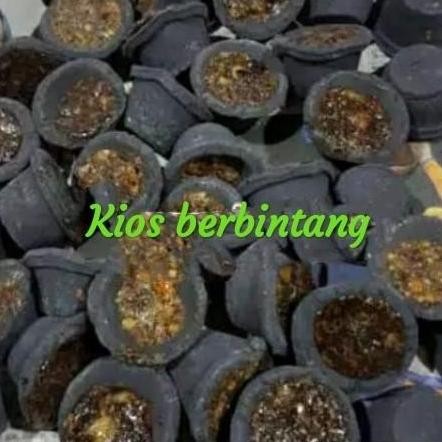 

TERMURAH DUPA KEMENYAN MANGKOK ISI MADU - 40 PCS AROMA HITAM MISTIS TRADISIONAL
