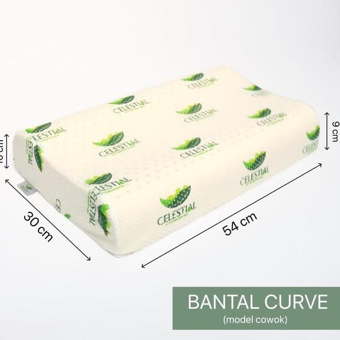 bantal celestial latex curve cowok