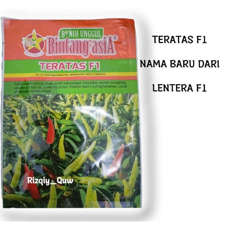 TERATAS F1/LENTERA F1 10gram/BENIH CABE/BENIH CABE RAWIT/BENIH HIBRIDA/BINTANG ASIA/10gram