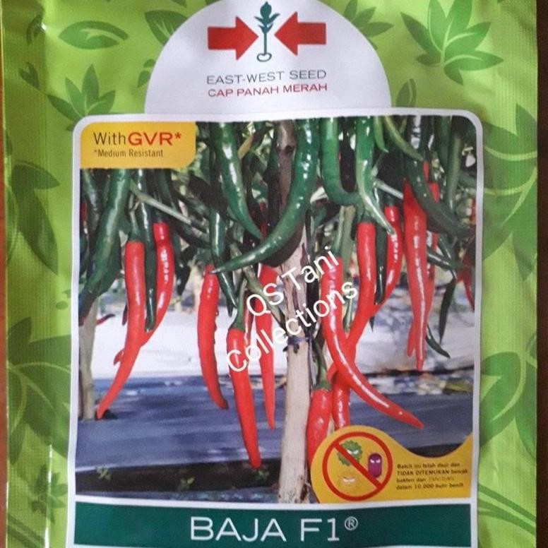 Benih bibit Cabe merah Besar BAJA F1 1500 butir