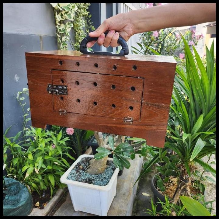 BOX FREE FLY KAYU JATI UNTUK SMALL PARROT BOX FF BURUNG