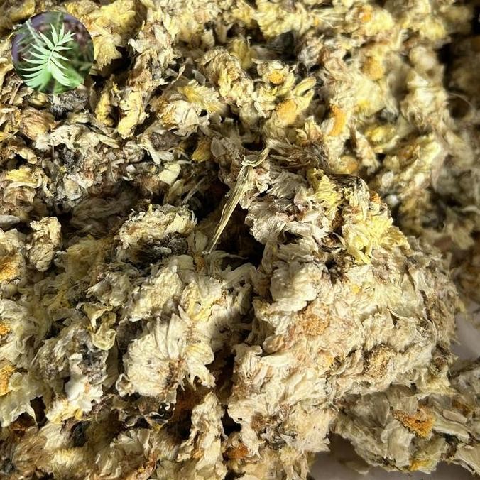 

Super Murah!, Bahan Liang Teh Bunga Chrysanthemum Kering 600 Gram