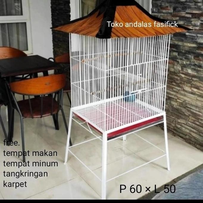 Terlaris Kandang Burung Beo. Kandang Ayam Kate. Ayam Serama Kandang Ayam Ready Stok