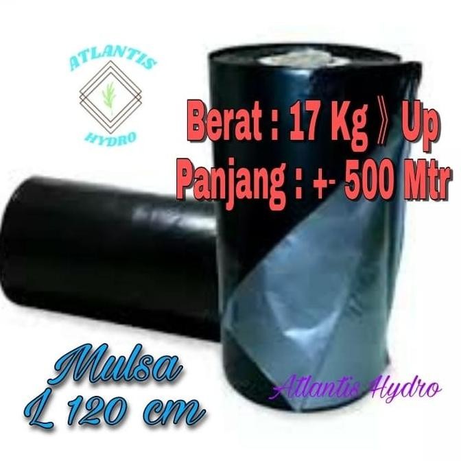 PLASTIK MULSA PERTANIAN 1,2 METER X 500 METER PER ROLL PENUTUP TANAH MURAH ASLI