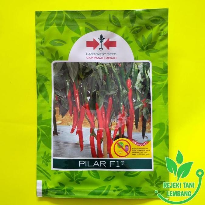 Benih Cabai Besar Bibit Cabai Besar Pilar F1 Cap Panah Merah