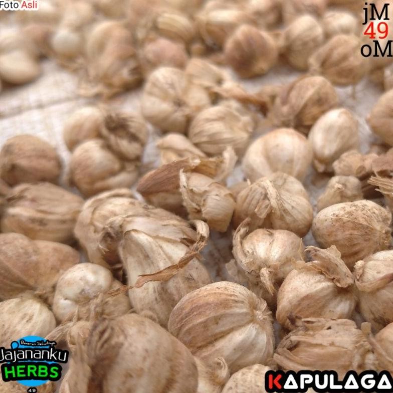 

Kapulaga Kering 1 Kg Best Quality Biji dan Ukuran Campur Cardamom Java Original Nugi