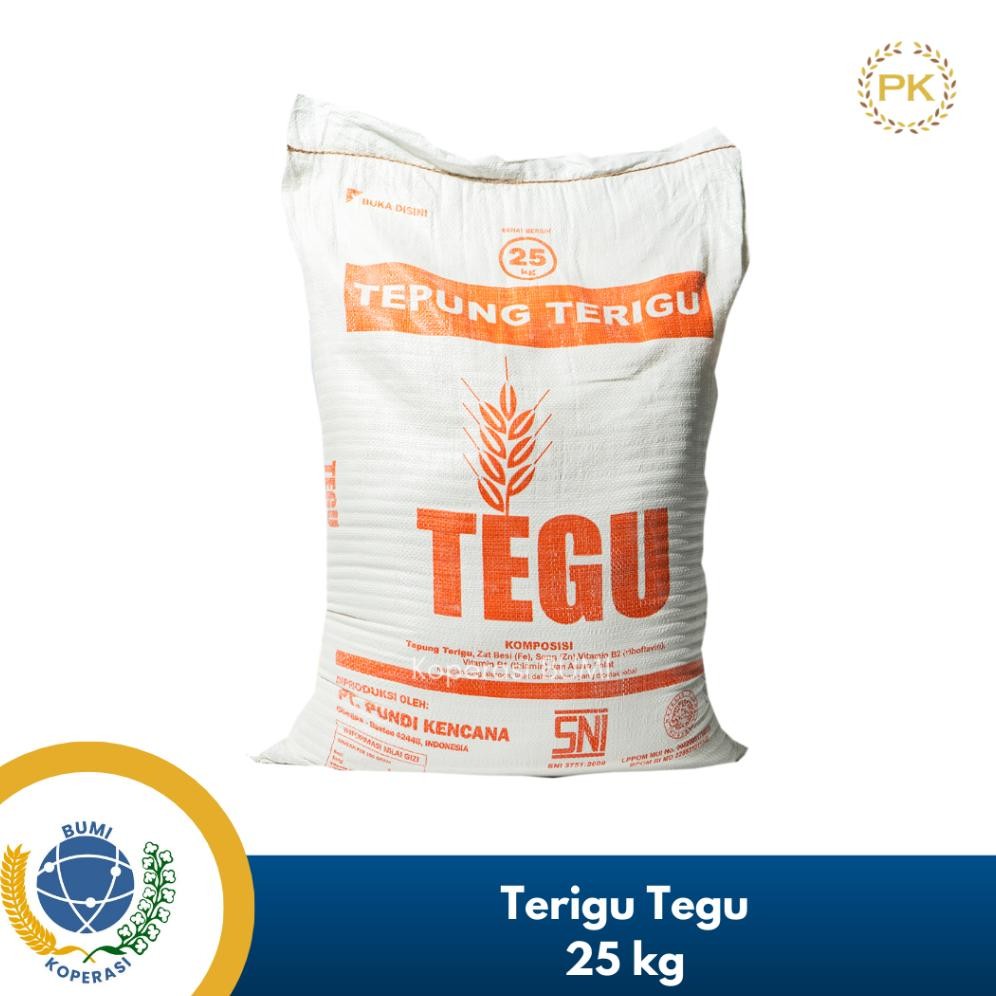 

Tepung Terigu Tegu 25 Kg Nugi