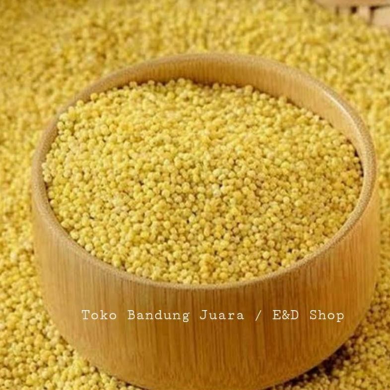 

BiJI KUNYIT / BiJI JAWAK / Jewawut / Sekoi / Foxtail Millet KEMASAN 1KG Nugi