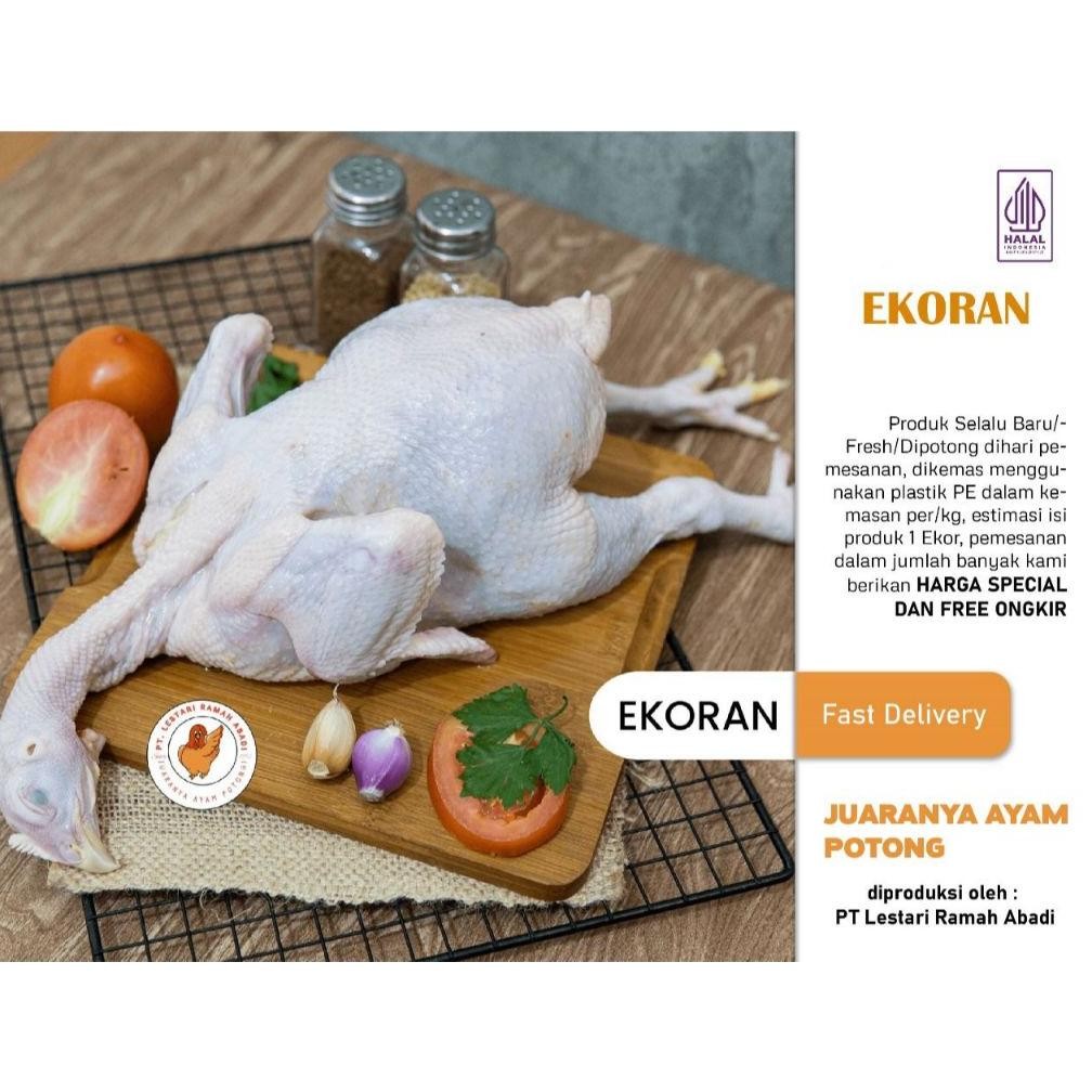 

Ayam Besar Utuh Ekoran 1.3 Kg Halal MUI Nugi