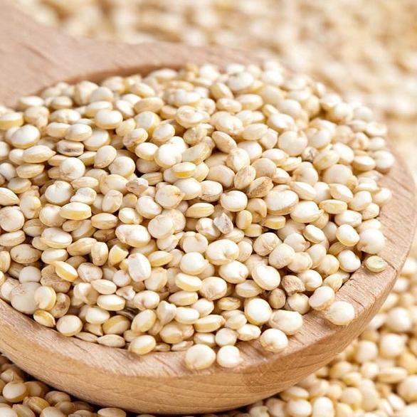 

Organic Quinoa 500gr 12kg Organic White Quinoa 500 gr Quinoa Putih 500 gram
