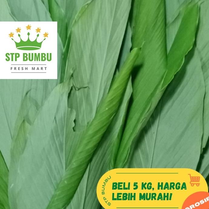 

Daun Kunyit Segar Fresh 1 Kg