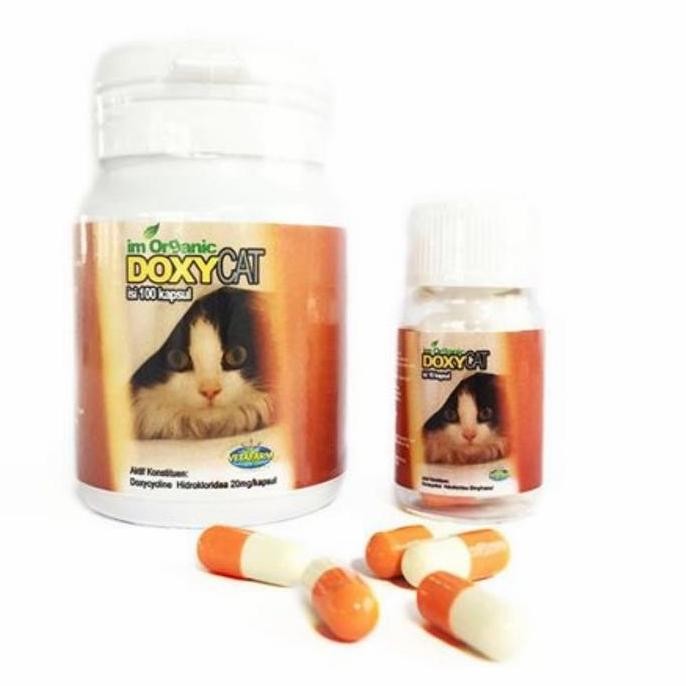 Obat Flu Kucing Doxy Cat 1botol 100 Kapsul DoxyCat Im Organik Doxy Cat