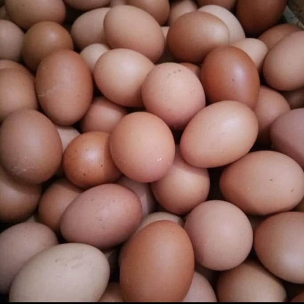 

Telur Ayam Negeri 1 Kg GRAB GOJEK Saja Nugi