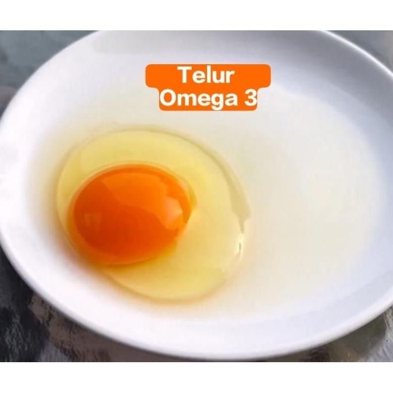 

TELUR AYAM OMEGA 3 PREMIUM || 1KG (15-18butir) Nugi