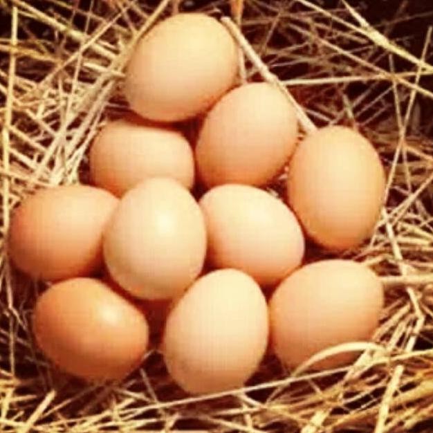 

Telur ayam / bahan makanan pokok/ makanan segar pasar Bandung Nugi