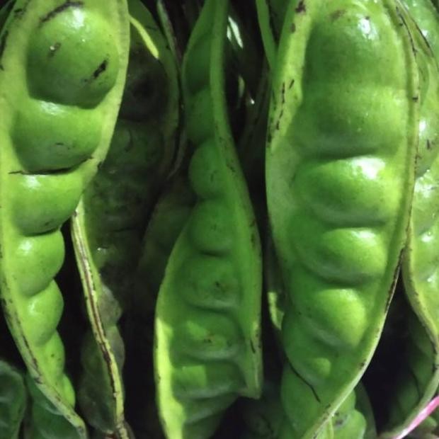 

Pete 10 papan/ sayur bandung murah Nugi