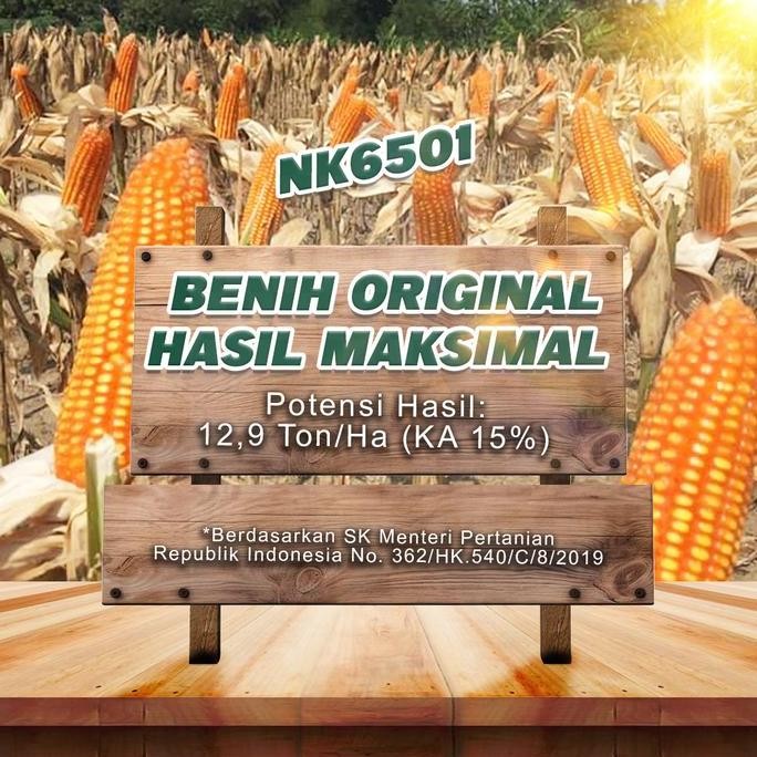 Benih Jagung NK 6501 | NK SUPER - 1Kg
