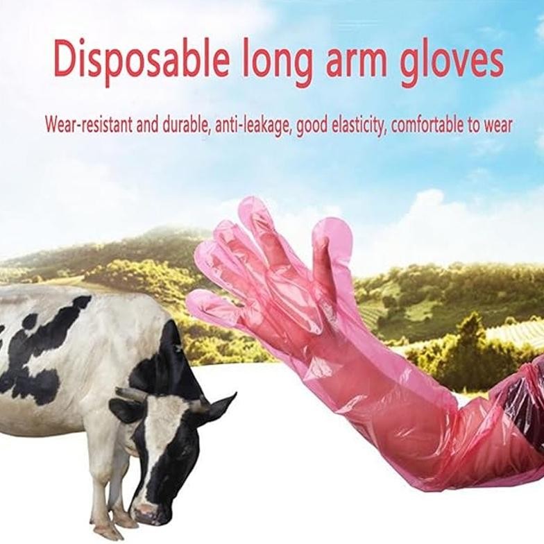 50 Pcs 90cm Sarung Tangan Panjang Sekali Pakai Babi / Sapi Sarung Tangan Inseminasi Buatan (IB)