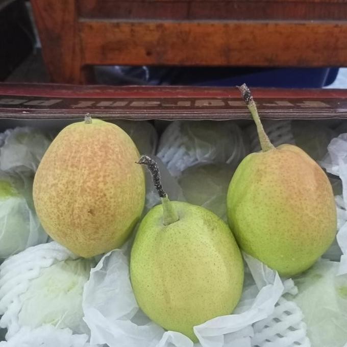 

pier Xiang lie fres perdus