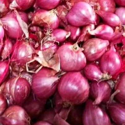 

Bawang Merah Premium Segar 1kg Murah Kecombrang - Bahan Pelengkap Masakan Spices Rempah HM