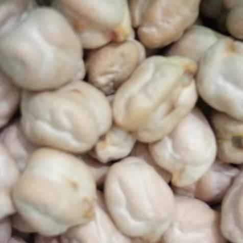

~@~@~@~@] Kacang Garbanzo - Hummos