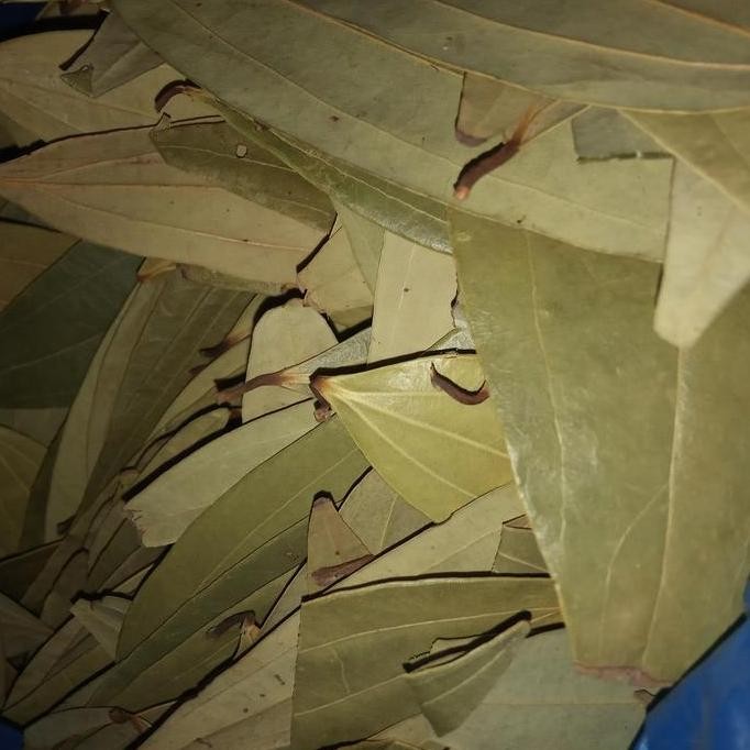 

{{{{}}] (50 gram)Daun Salam koja daun kari bayleaf or Tez patha