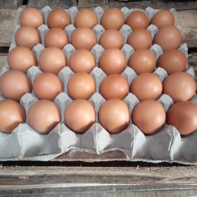 

Produk Baru!! Telur Ayam 1 Kg - Telor Segar Harian Kualitas Terbaik