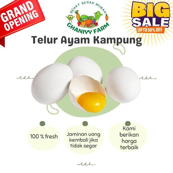 

Produk Baru!! Telur Ayam Kampung Omega 3 Kaya Nutrisi & Protein Tinggi