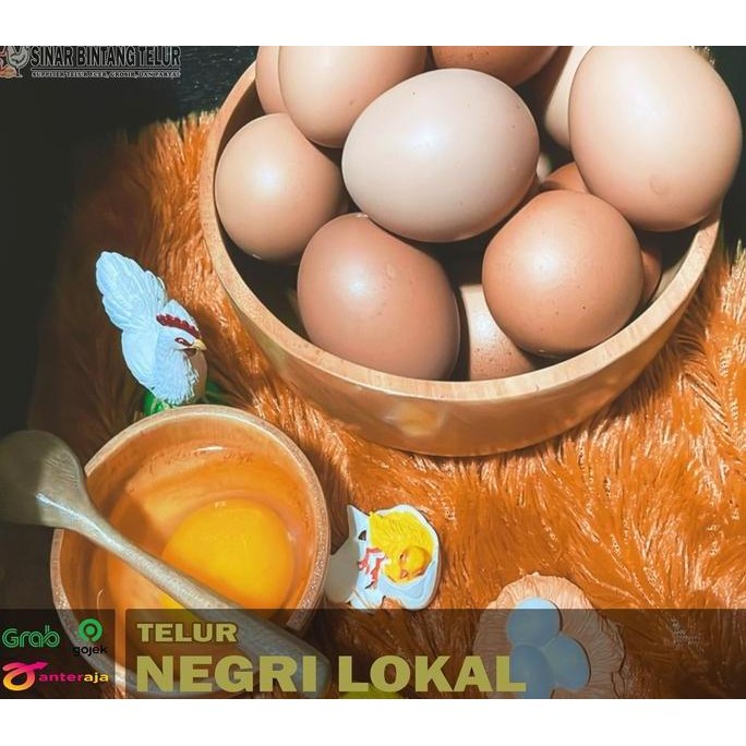 

Produk Baru!! Telur Ayam Negeri Lokal Fresh 1kg - Telur Coklat Segar Harga Terbaik
