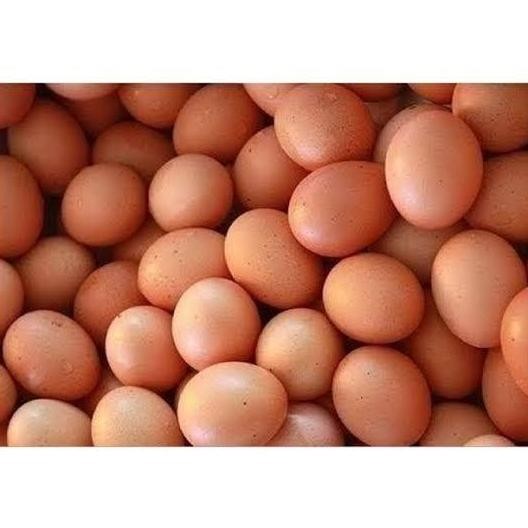 

Produk Baru!! Telur Ayam Negeri per Kg - Telur Coklat Segar Fresh Harian