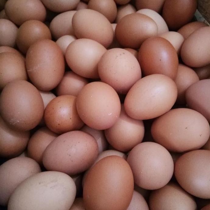 

Produk Baru!! Telur Ayam Negeri 1kg - Telur Coklat Segar Harga Ekonomis