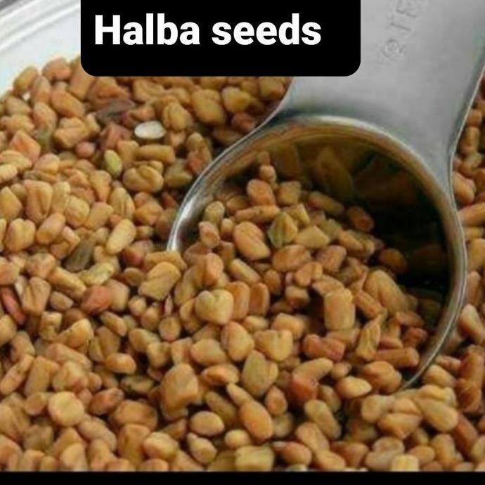 

Silahkan Order] SUPER METHI SEEDS /BIJI KLABET 1000 GRAM