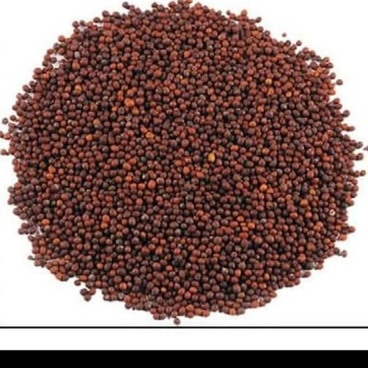 

><><><] premium MUSTARD seeds dari indian 100 gr