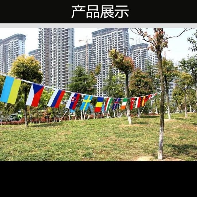 20 bendera Bendera Negara Asean Bendera Asean murah