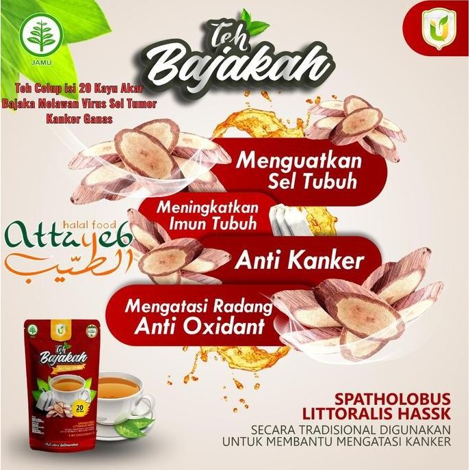 

Teh Celup Isi 20 Kayu Akar Bajaka Melawan Virus Sel Tumor Kanker Ganas