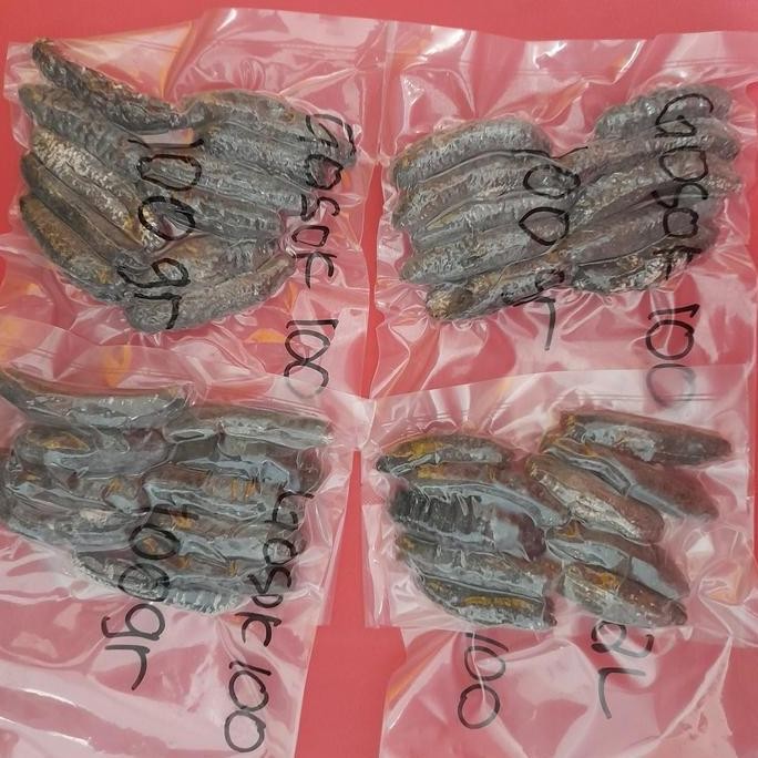 

Teripang/Sea Cucumber Gosok 100 Kering #Gratisongkir