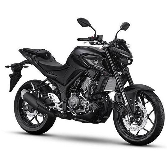 SEPEDA MOTOR - YAMAHA NEW MT 25 ABS 2025 ORIGINAL DAN TERPERCAYA
