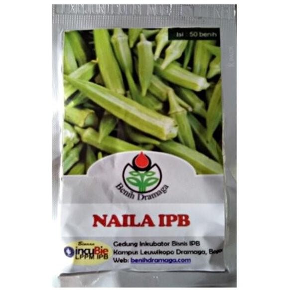 POHON Biji Bibit Okra Hij Naila IPB Dramaga Tanaman Buah