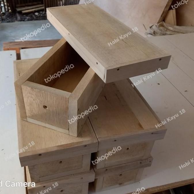 ready Kotak sarang Lebah klanceng/trigona kandang lebah 10x30