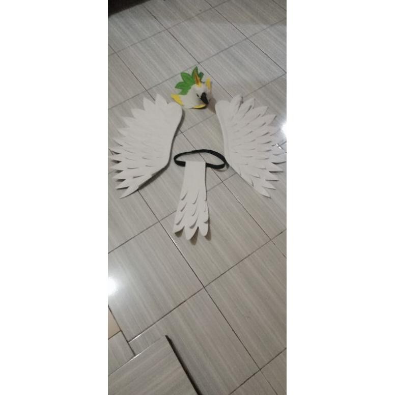 KOSTUM BURUNG KAKA TUA