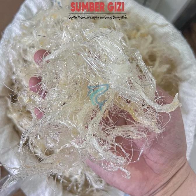 

HISIT KERING KASAR SIRIP IKAN HIU KASAR 3 HUCHI HU CHI HECHI SIRIP HIU PA