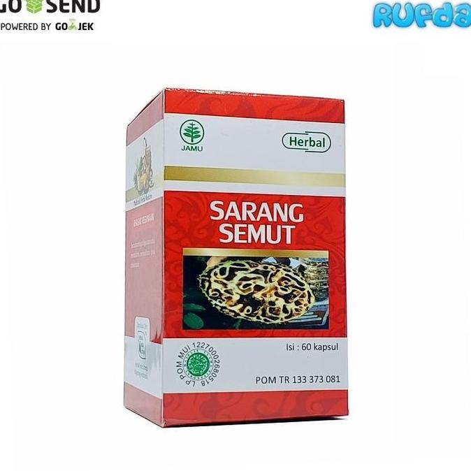 HIU Sarang Semut Khas Papua Myrmeia pendans Kapsul Herbal Indo Utam