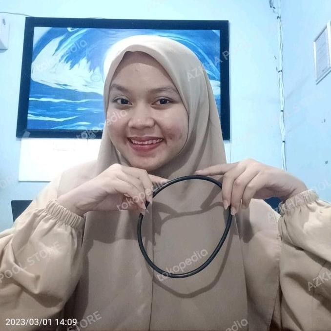 Oring Seal Filter Kolam Merk Boost / Seal Leher Filter Kolam Renang Forsale!