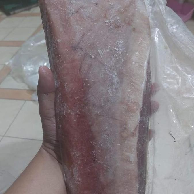 

Terlaris | Terbaru | Best Seller | Termurah Dada Tuna Original | High Quality | Berkualitas