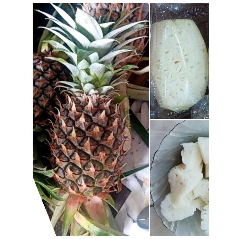 

[]COD[] __ NANAS MUDA KUPAS dan UTUH||harga perbuah ||pelancar haid ||herbal alami